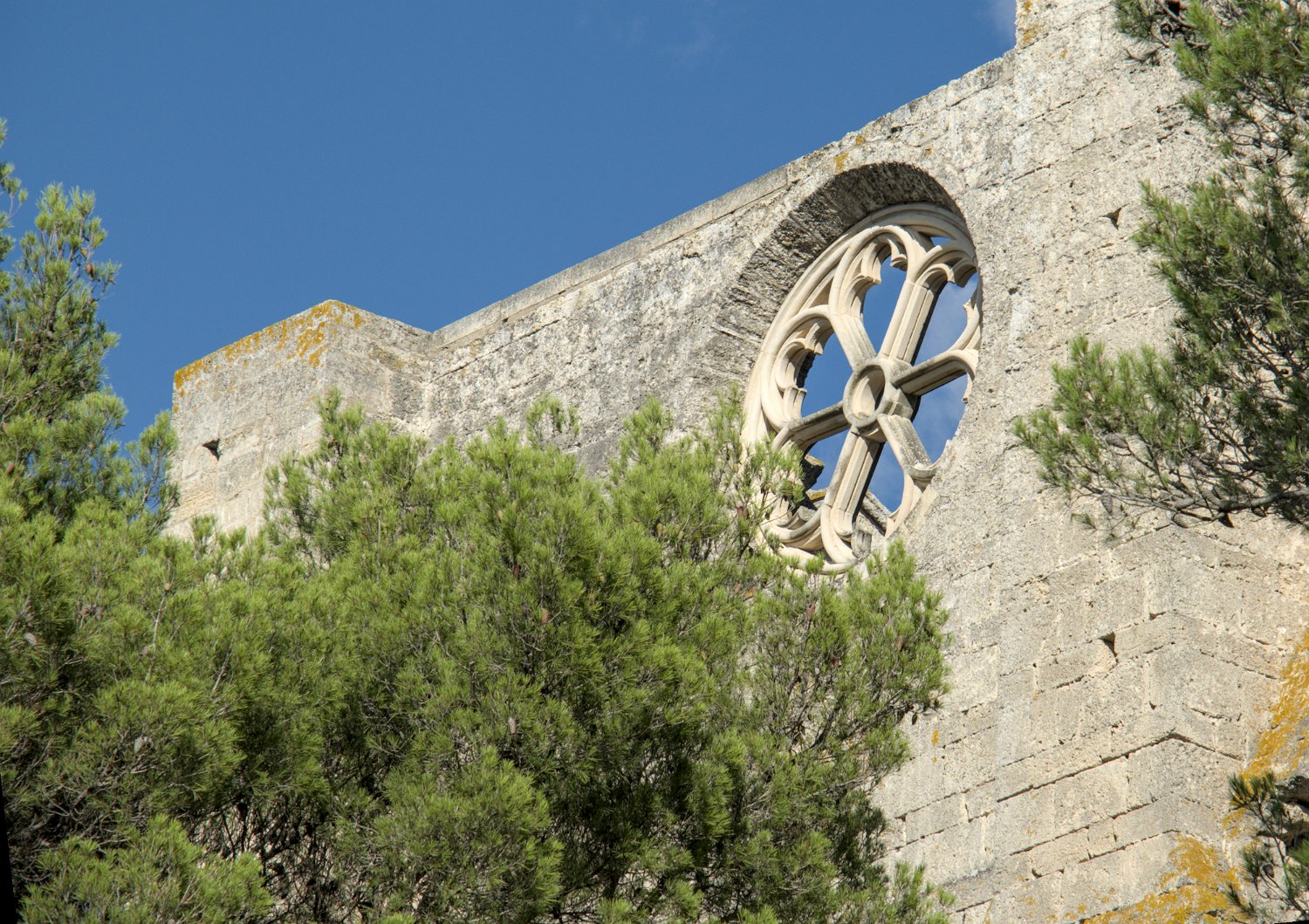 Rosace de la façade sud